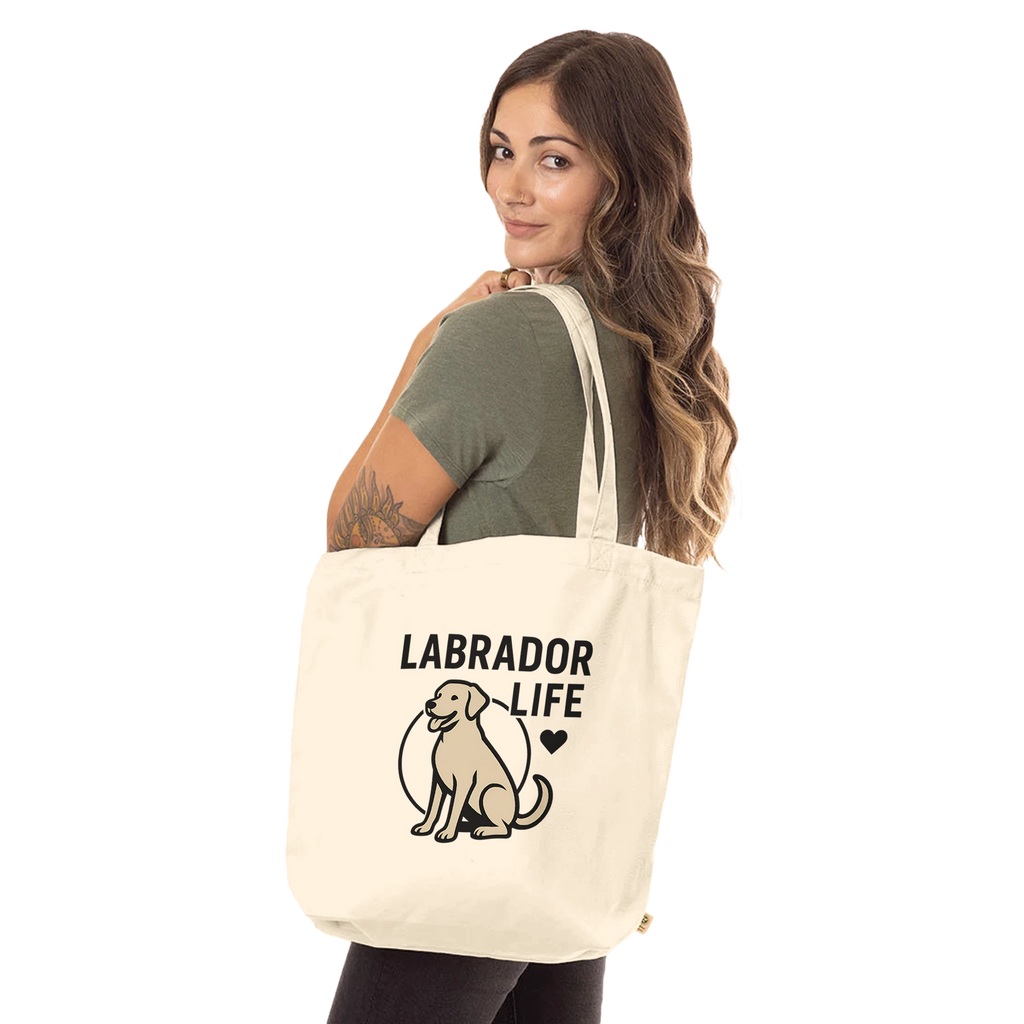 b72546db-f95e-41de-a1ff-9ddf02cd3a5f